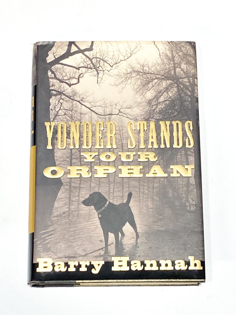 Pu&ograve; includere: Una copertina di libro con una foto in bianco e nero di un cane in piedi in un bosco. Il titolo del libro &egrave; "Yonder Stands Your Orphan" e l'autore &egrave; "Barry Hannah".