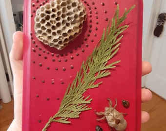 Wasp Nest Beetle Etsy