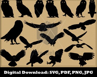 Free Free 349 Snowy Owl Svg SVG PNG EPS DXF File