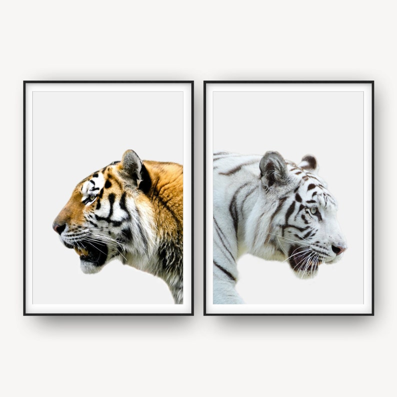 Tiger Art Print Animal Poster Animal Animal Print Set Of 2 Prints Tiger Photography, Printable Prints Set of 2 Wall Prints