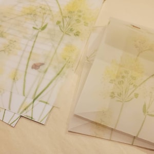 Letter writing set - With butterfly / transulcent envelope