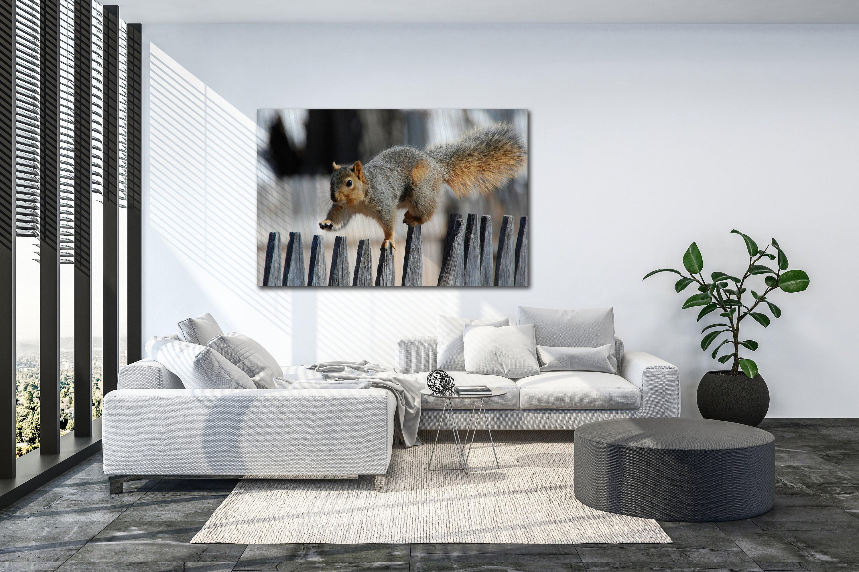 Squirrel In Balance Canvas Wall Art Premium Canvas High | Etsy