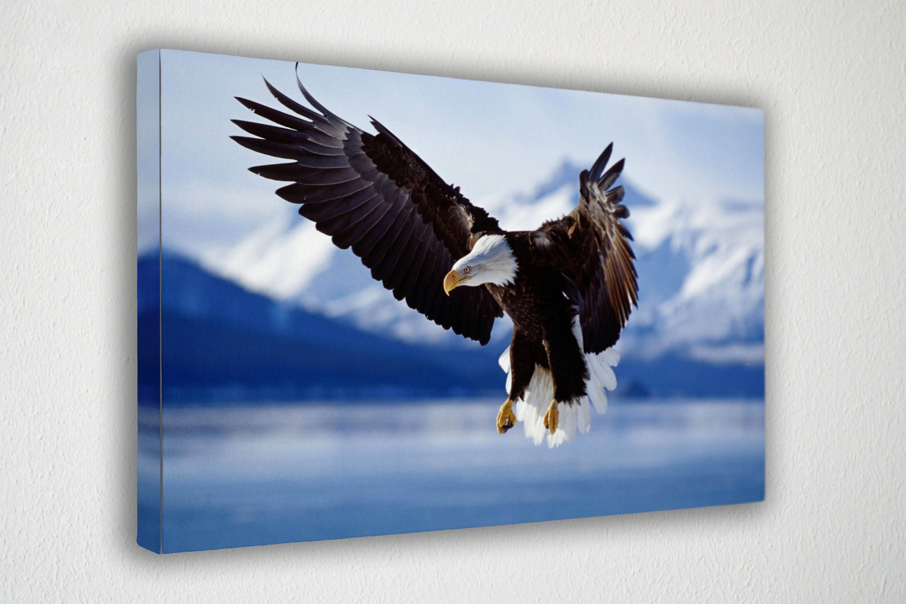 The Sims Resource Point Marion Bald Eagle Canvas vrogue.co