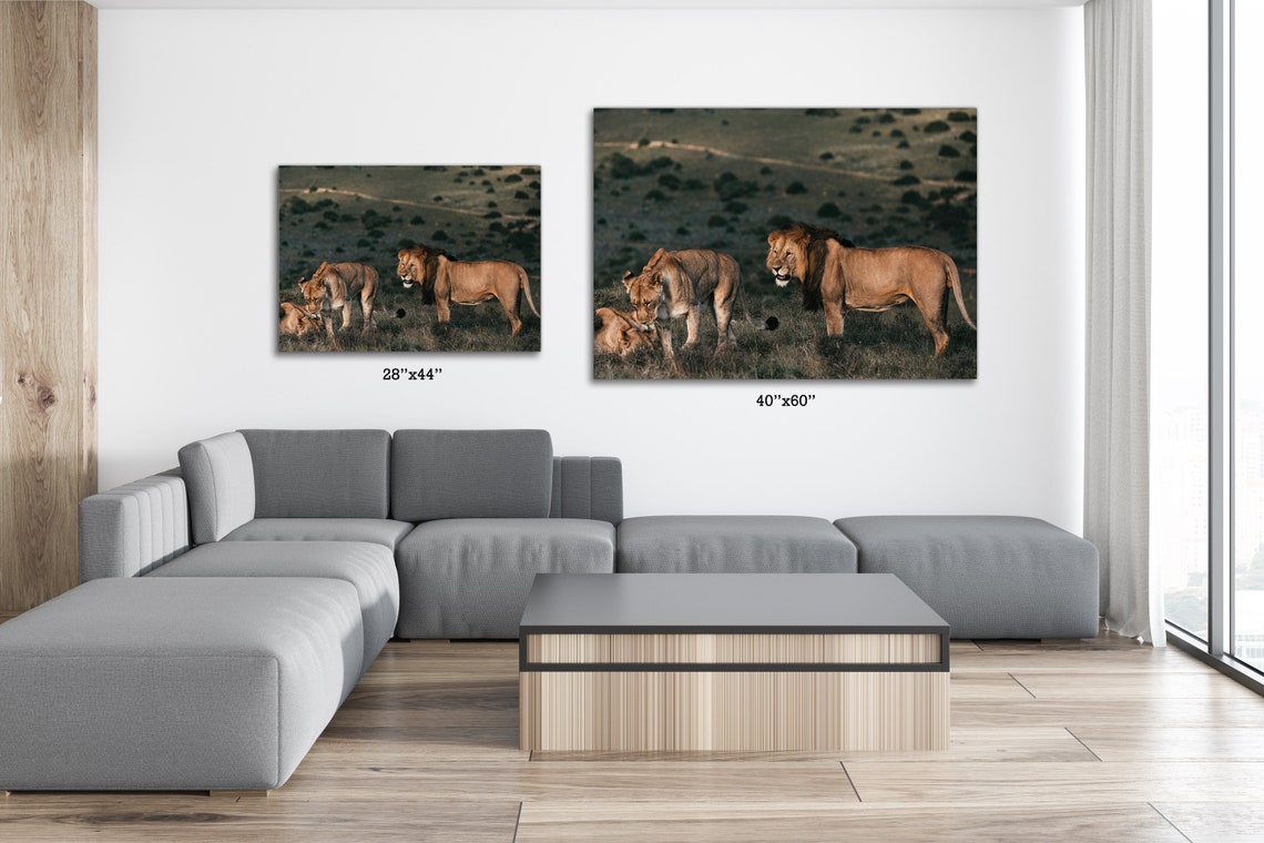 Lion Family Canvas Wall Art Premium Canvas High Quality Wall | Etsy