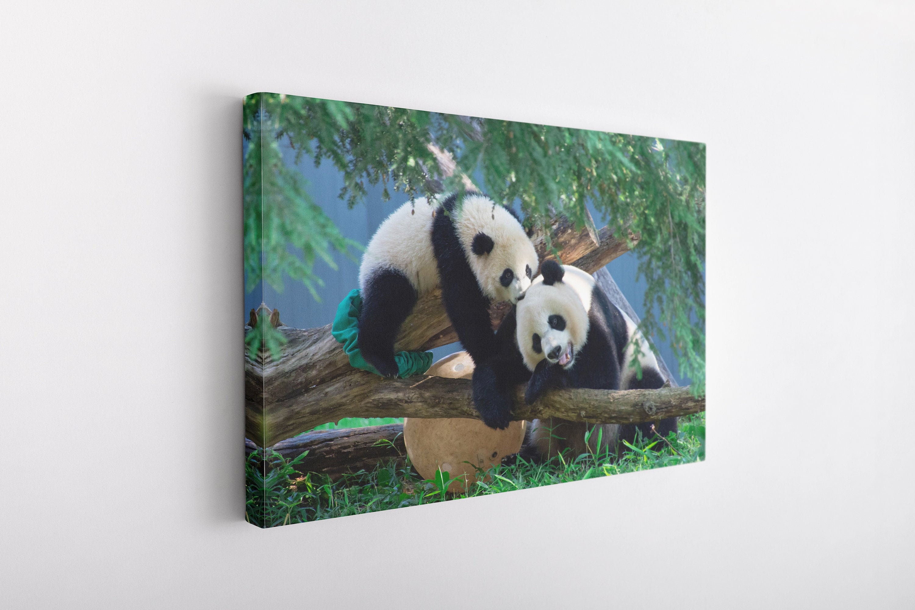 Cute Couple Panda Canvas Wall Art Premium Canvas High Etsy