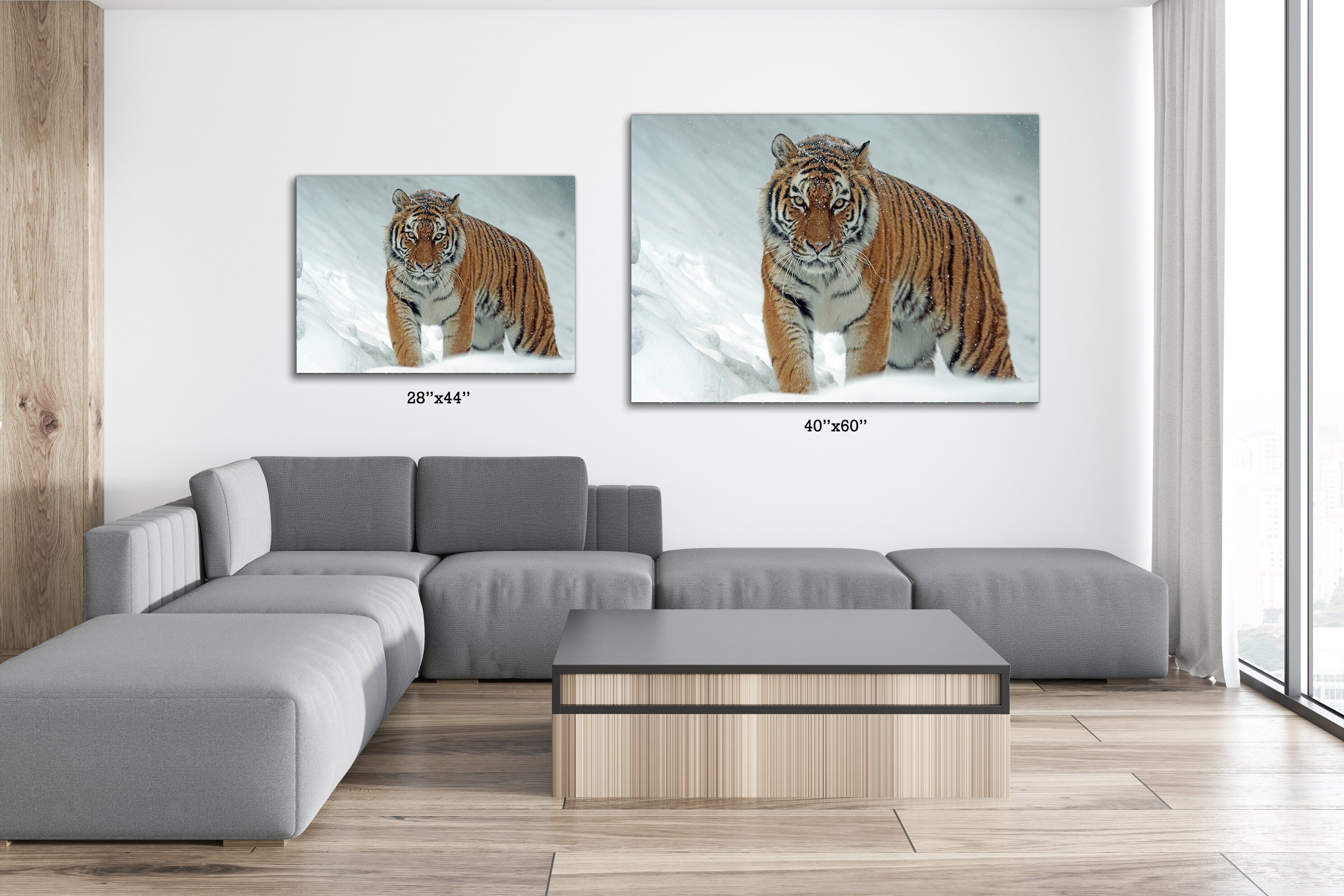 Tiger Walking in Snow Canvas Wall Art Premium Canvas High | Etsy