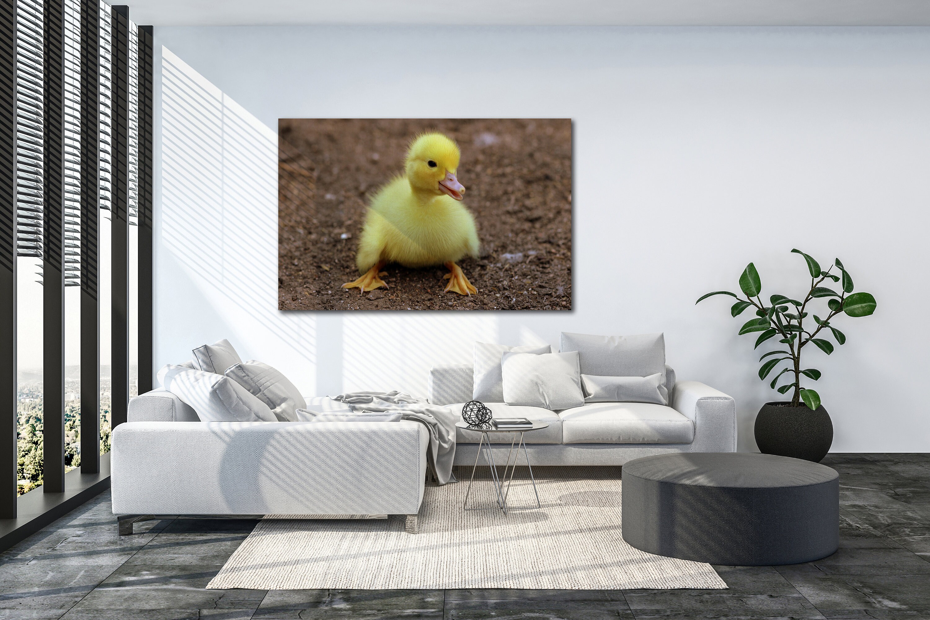 Cute Chick Canvas Wall Art Premium Canvas High Quality Wall | Etsy