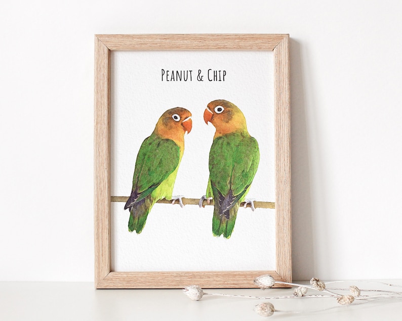 Watercolor parrot portrait displayed in a wooden frame.