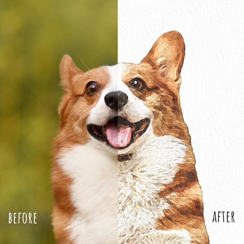 Before and after dog photo transformation into watercolor portrait.