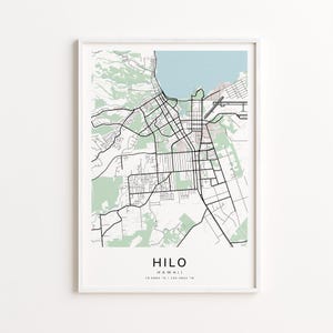 May include: A framed map print of Hilo, Hawaii, featuring a detailed black and white street layout against a light green and blue background. The city name and coordinates are printed at the bottom.