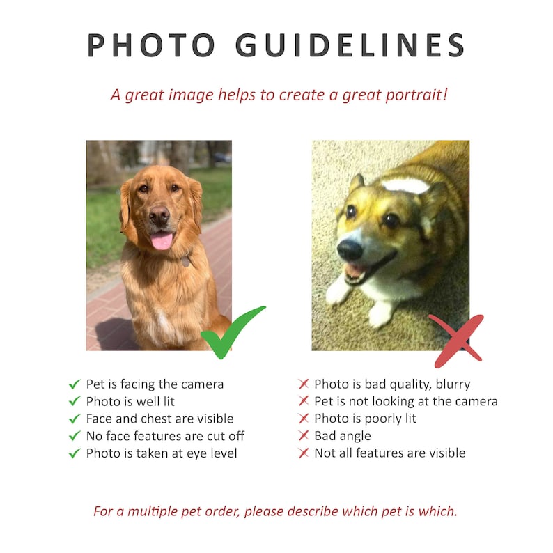 Pet photo guidelines.