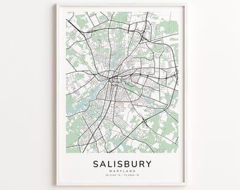 Salisbury Maryland Map Print – Detailed Street Map Wall Art, Modern City Map Poster, Home Wall Decor
