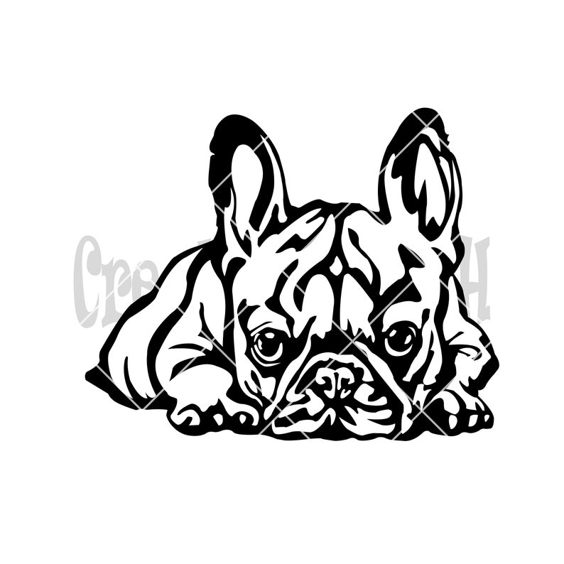 French Bulldog Svg Bulldog Breed Svg Frenchie Clipart Print Frenchie Svg Cute Dog Clipart Pet Face Png Cricut Cutting Files