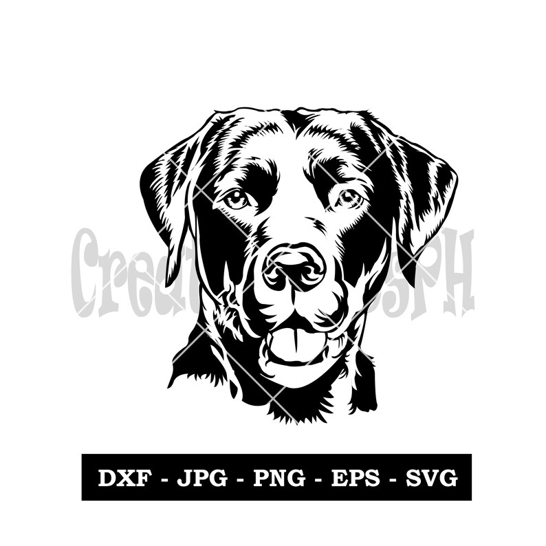 Download Labrador Svg Files For Cricut Printable Png Download Shirt Svg Cute Face Head Dxf Silhouette Cameo Dog Clipart Lab Breed Vector Pet Supplies Urns Memorials Delage Com Br