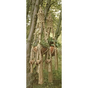 May include: Two macrame plant hangers with woven rope details, suspended from a tree branch. Each hanger holds a brown pot with green plants. The natural beige color of the rope contrasts with the green foliage, creating a rustic, bohemian aesthetic.