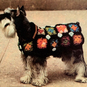 Roll Collar Granny Square Dog Coat Crochet Pattern - Worsted weight, Vintage Crochet PDF Pattern, Instant download