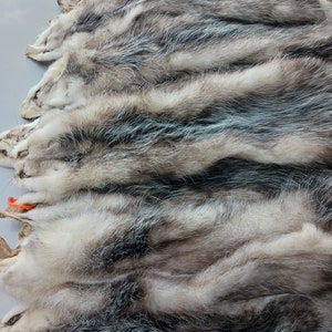 Opposum hides/pelts