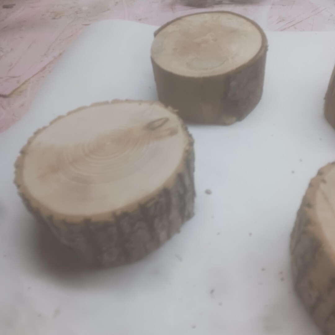Lot of 4 Dried Tree Rounds - Etsy