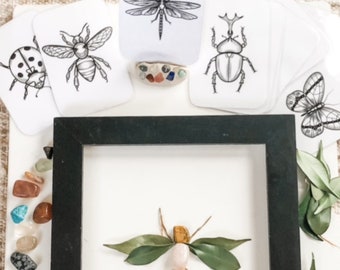 14 contours d'insectes pour mini-bêtes et pièces détachées Montessori