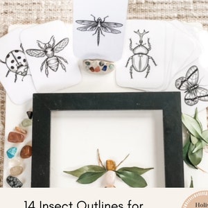 14 contornos de insectos para mini bestias y piezas sueltas Montessori