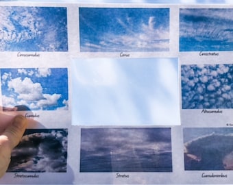 Cloud Identification Viewer and Matching Information Cards