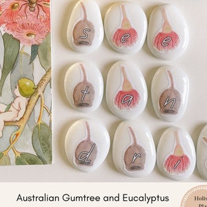 Australian Gumtree and Eucalyptus Gumnut and Blossom Spelling Stones