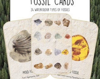 24 Watercolour Dinosaur Fossils and Fossil Classification Cards Homeschool Science