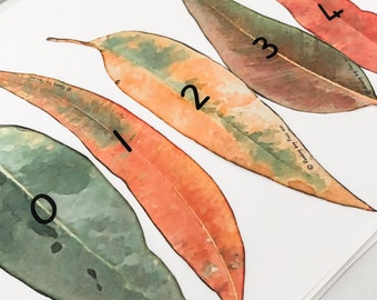 Australian Gumtree and Eucalyptus Leaf Number 0-100 Number Cards 1 Rating Montessori