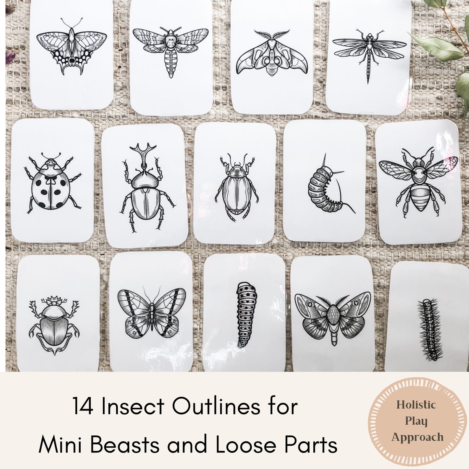 14 Insect Outlines for Mini Beasts and Loose Parts Montessori - Etsy
