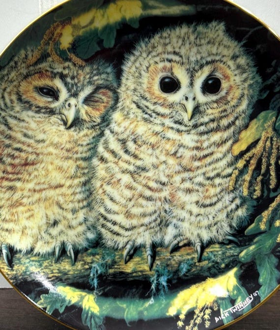 Baby Tawny Owls Collectors Plate by Danbury Mint, Tawny Owl Scenes