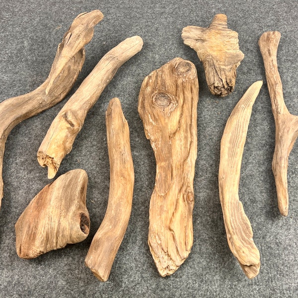 Treibholz Schwemmholz Driftwood für Bastelbedarf(51)