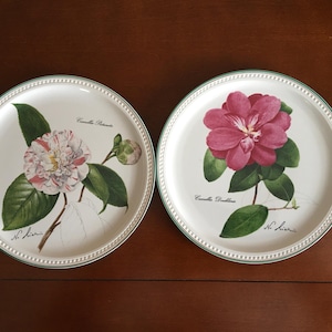 May include: Two white ceramic plates with green trim and floral designs. The plates feature illustrations of camellia flowers with the text "Camellia Reticulata" and "Camellia Japonica" printed on each plate.