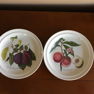 Set mit 2 Portmeirion Pomona Speisetellern hergestellt in Großbritannien Teller mit Pflaumen und Pfirsich Pomona Kollektion