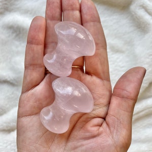 Rose Quartz Mushroom Gua Sha Face Oil & Moon Tool Vegan Beauty Holiday Set