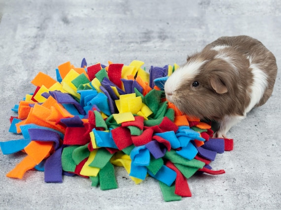 Guinea pig boredom busters sales