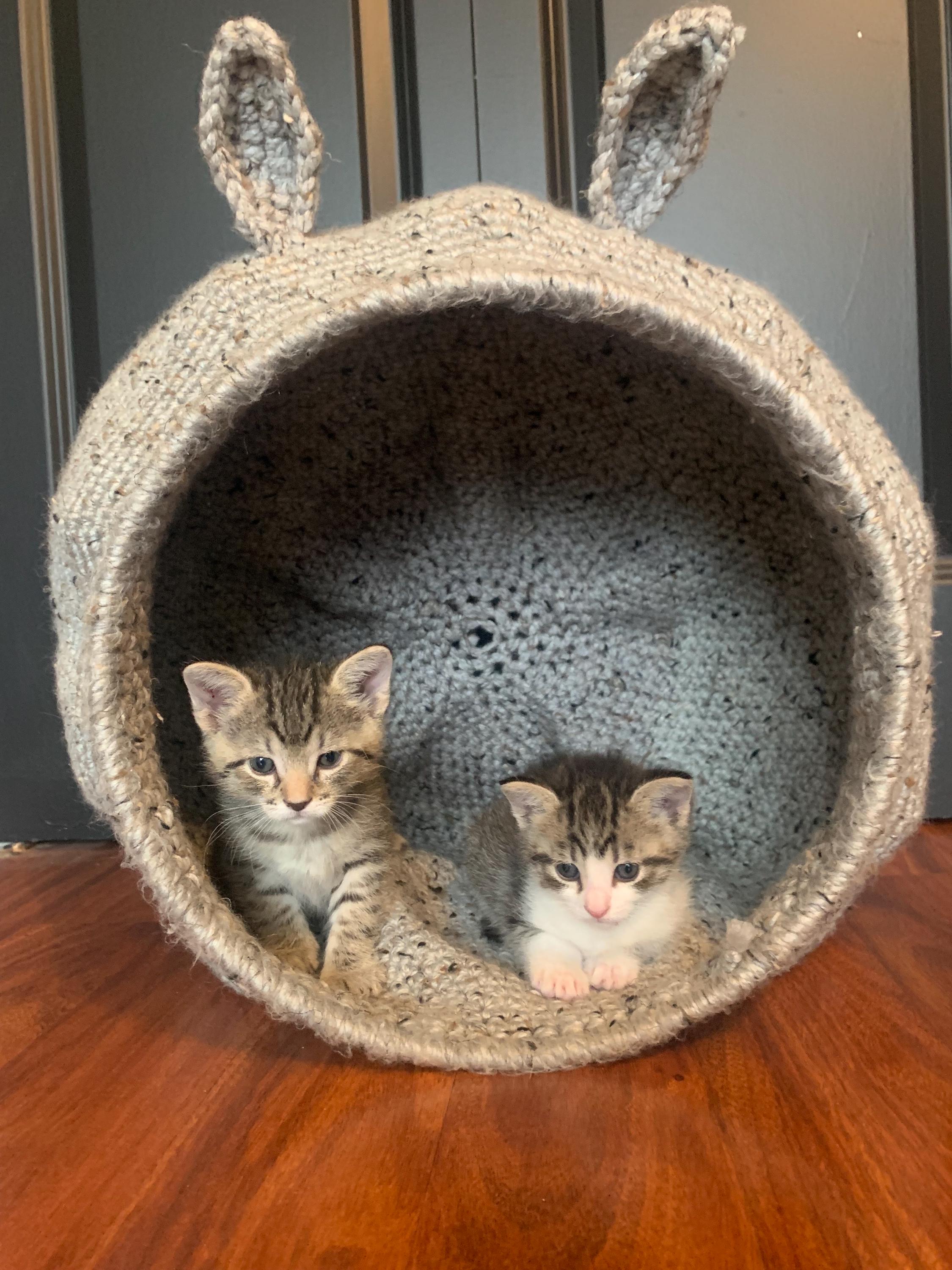 Hand Crocheted Cat Bed Pod: Wool Blend Yarn, 12” Opening
