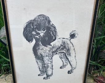 Lámina vintage de los años 50 "Belle" de Da Wei Kwo / Obra de arte enmarcada de un caniche / Ilustración animal de mediados de siglo / Decoración de pared retro