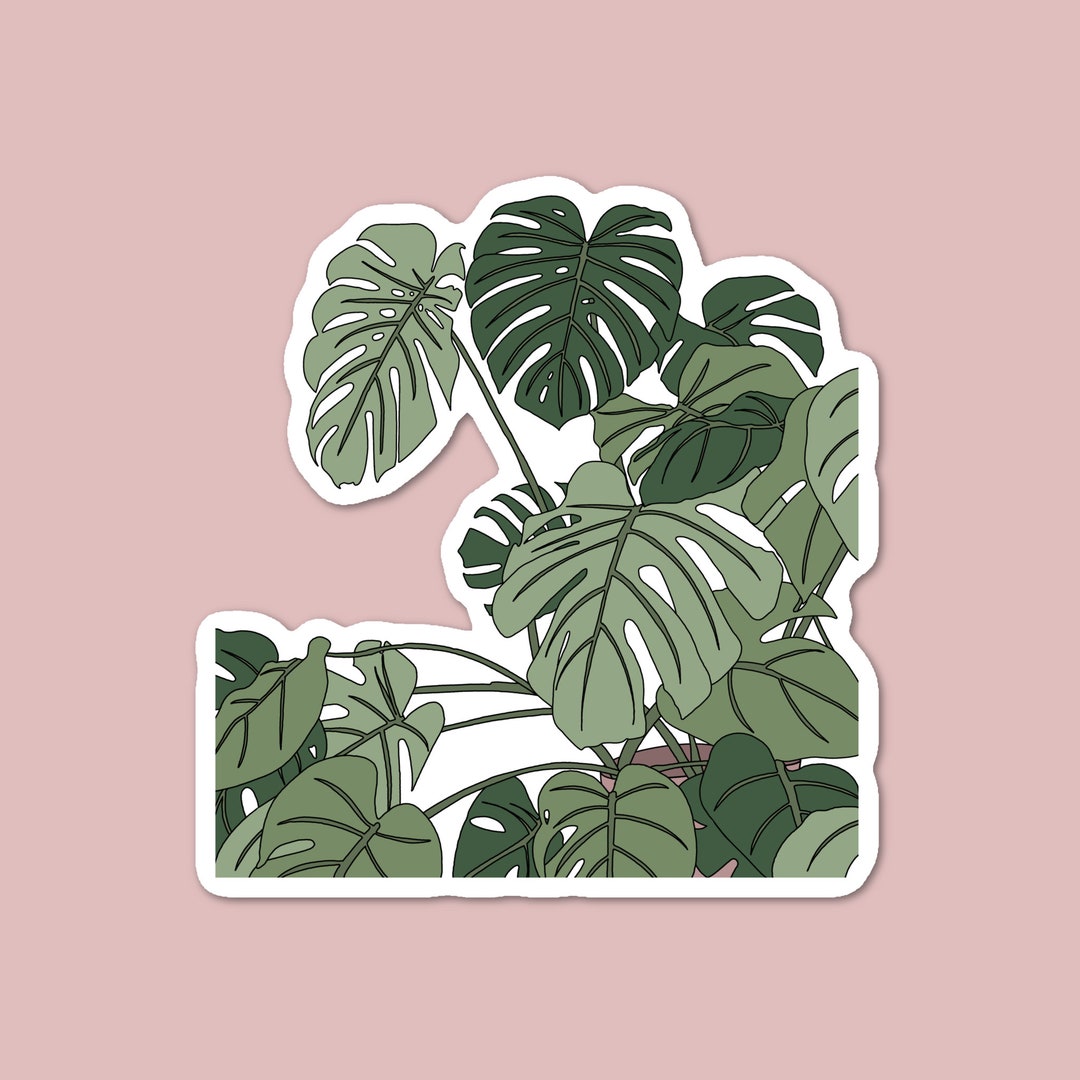 Monstera Sticker, Plant Sticker, Plant Lover - Etsy