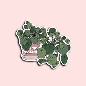 Pilea Water Resistant Sticker, House Plant Sticker, Boho Sticker, Plant Sticker, Plant Lover