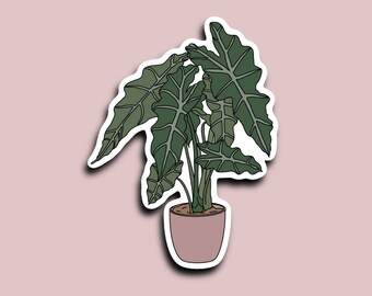 Alocasia Sticker, House Plant Sticker, Boho Sticker, Plant Sticker, Plant Lover
