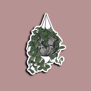 Pode incluir: Uma planta verde com folhas pendentes em um vaso esf&eacute;rico de arame preto. A planta est&aacute; pendurada em um cord&atilde;o branco.