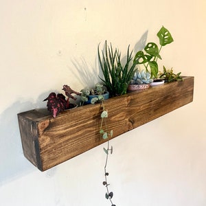 May include: A dark brown wooden shelf with five potted plants. The shelf is mounted on a white wall. The plants include a trailing plant, a succulent, a snake plant, and two other plants.