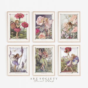 Flower Fairies, Set of 6, Cicely Mary Barker, Vintage Fairyland Art, Digital Download, N3