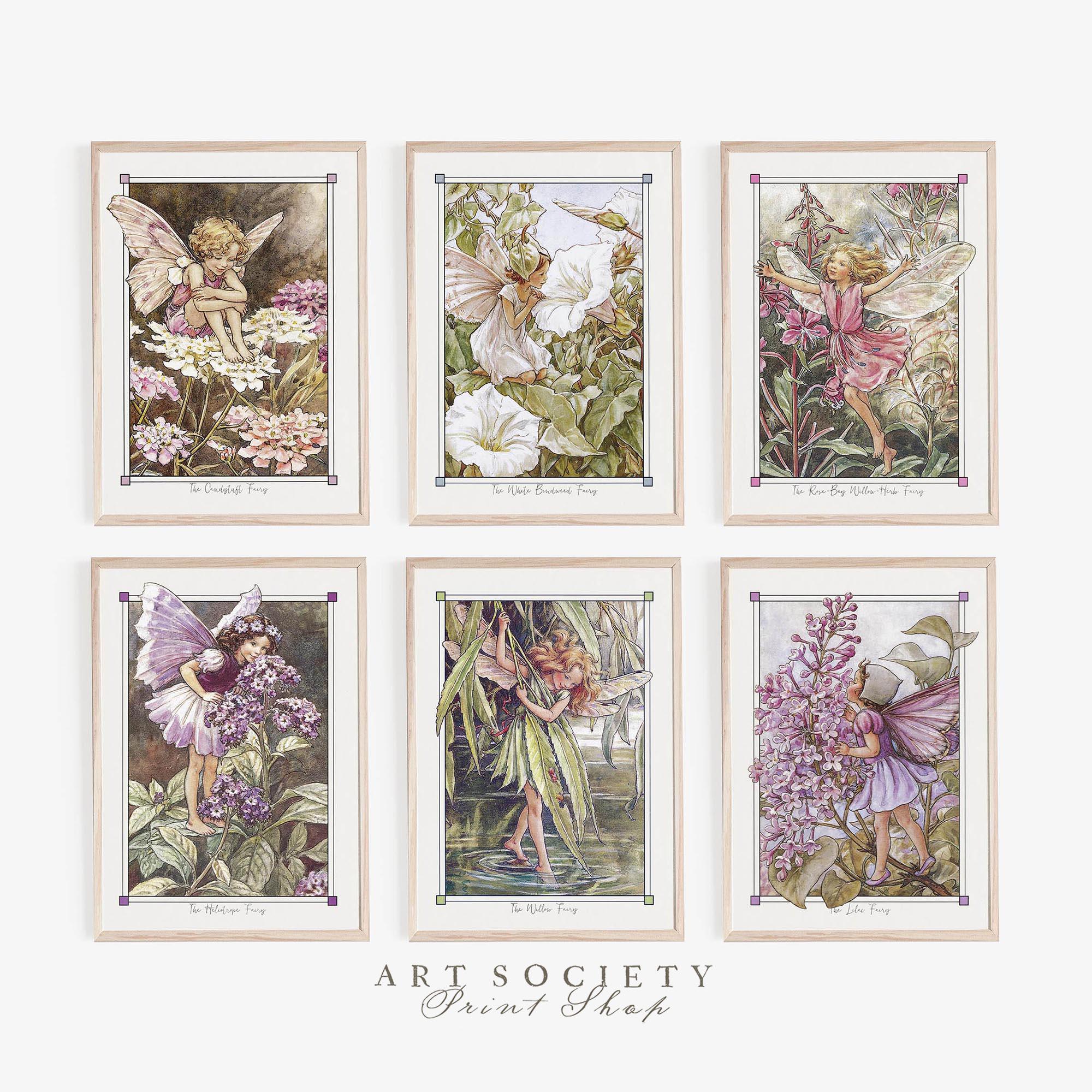 Cicely mary barker flower fairies - Etsy 日本