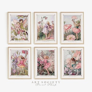Cicely mary barker flower fairies - Etsy 日本