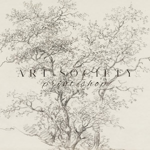 Forest Tree Sketch, Vintage Landscape Drawing, Antique Pencil Artwork, Neutral Colours Wall Decor, Botanical Tree Sketch, Printable Art, D47