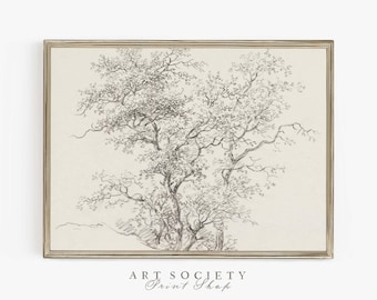Vintage Baum Bleistiftzeichnung: Antike Wald Skizze, neutrale Landschaft druckbar, D47