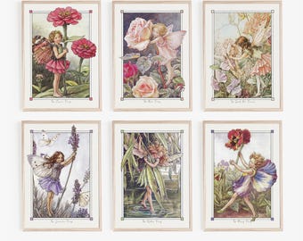 Complete Flower Fairies Collection Slipcase Containing Eight