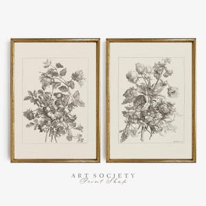 Op de afbeelding: Een set van twee ingelijste botanische prints met zwart-wit illustraties van bloemen. De prints zijn in gouden lijsten en hebben een vintage uitstraling.