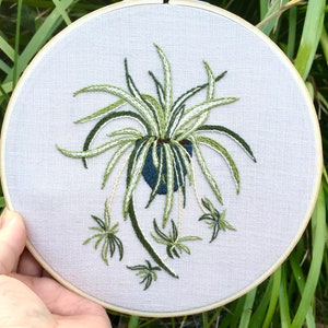 PDF botanical embroidery pattern/digital download/spider plant pattern/detailed instructions/patterns for 6, 7, or 8" hoops/retro look.